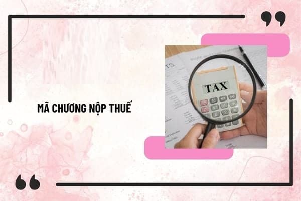 Hướng Dẫn Tra Cứu Mã Chương Nộp Thuế Cấp Xã